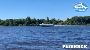 Теплоход «Метеор-218» следует по маршруту: «Брейтово-Рыбинск-Ярославль»