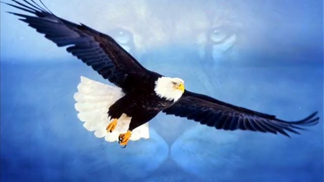 Dominik Eulberg - Adler смотреть онлайн