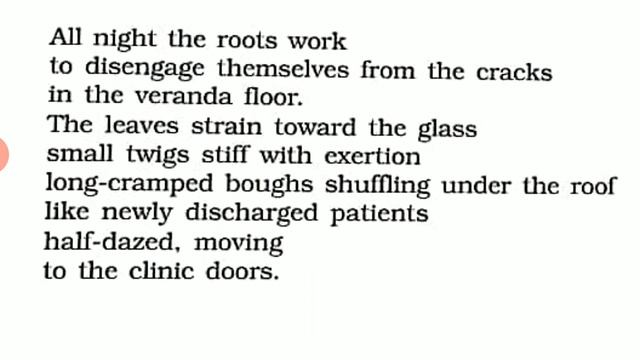Poem 8: The Trees ( Adrienne Rich) смотреть онлайн