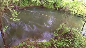 Поимка трофейного голавля на микроречке. Ловля голавля на воблеры