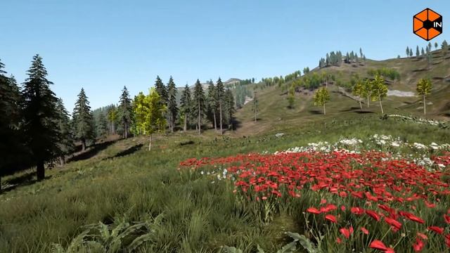 Виртуальное путешествие в летнем лесу | Virtual tour in the summer forest