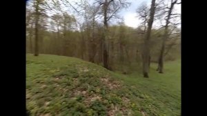 Качановка. Путешествия по Черниговской области