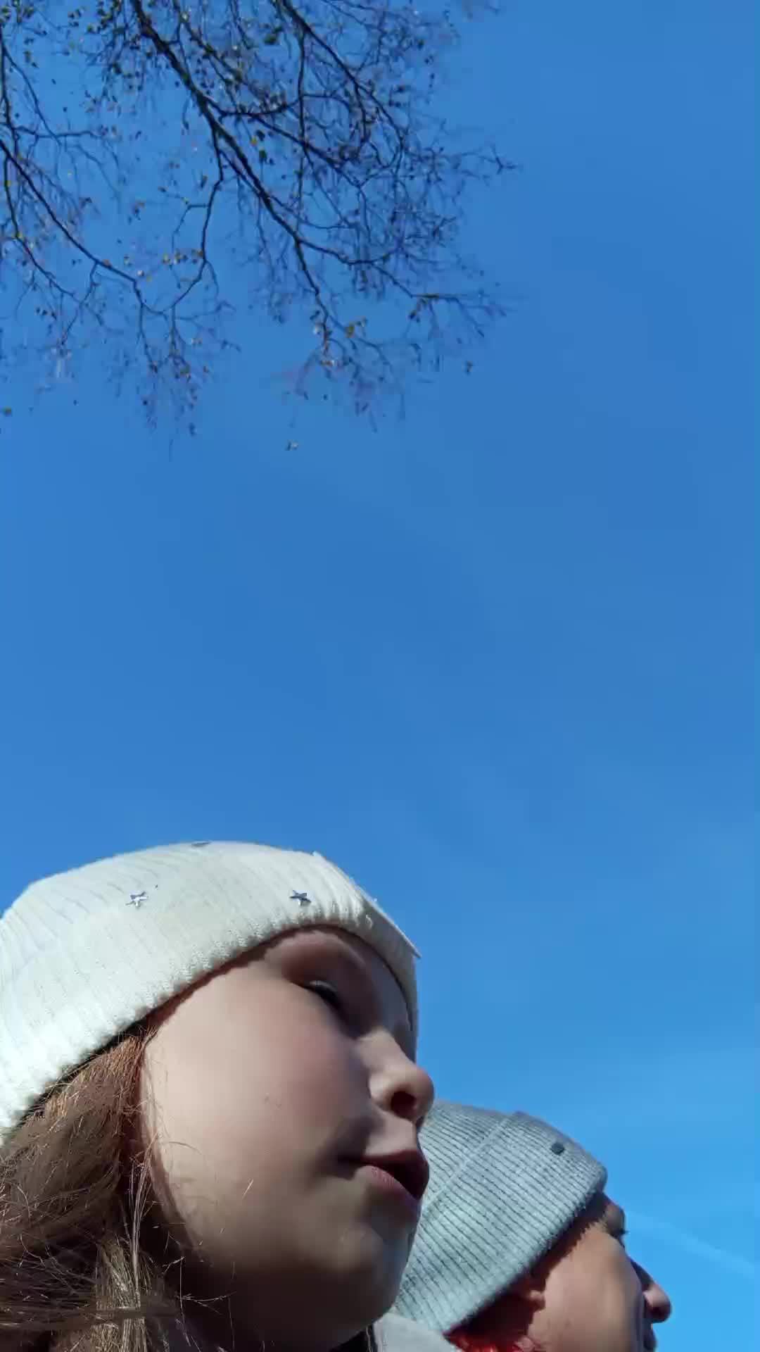 я в ельцовском парке