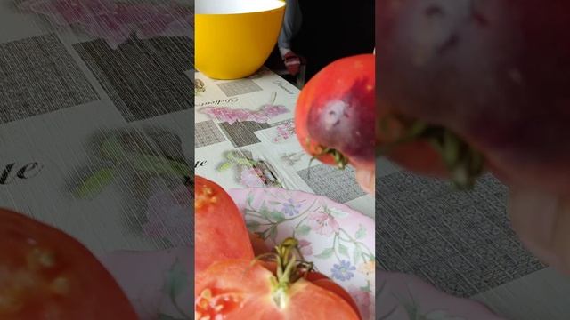 Помидоры на срезе,красавец сержант Пеппер!)#лето #дача #помидоры #семена# смотреть онлайн