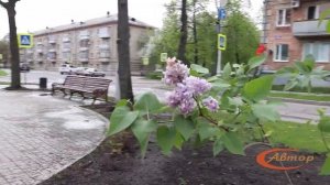 Экскурсия по Заречному.