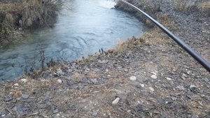 Рыбалка на ультролайт и маховую удочку. Охота за радужкой. #trout #рыбалка#форель#ультролайт#махова