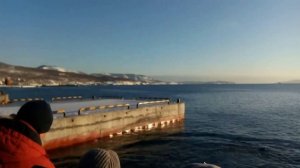 Сивучи Петропавловск Камчатский,Sea Lions Petropavlovsk Kamchatsky