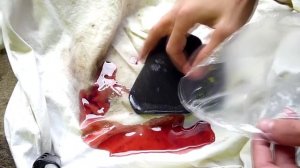 Как почистить воздушный фильтр