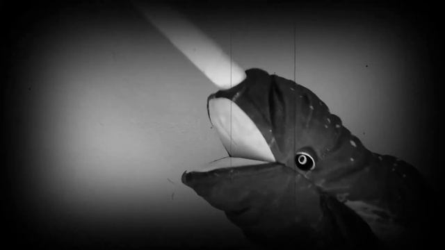 One Woman Show: Phantom of the Opera смотреть онлайн