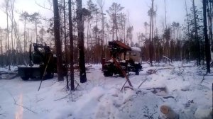 лесозаготовка томск