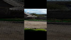 Явление  БАНДИТОВ  с  угрозами