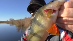 Рыбалка в ноябре ультралайт или лайт ???