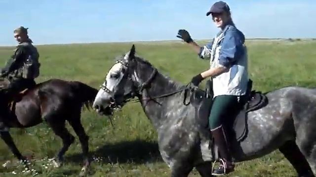 конный выезд смотреть онлайн