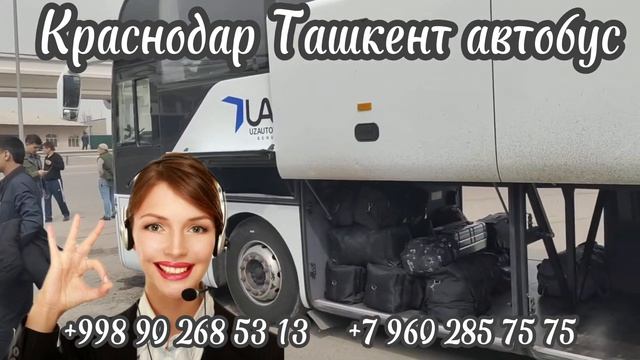 Краснодар Ташкент автобус #краснодар #ташкент #автобус