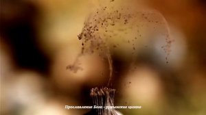 Христианское прославление - поют румынские цыгане