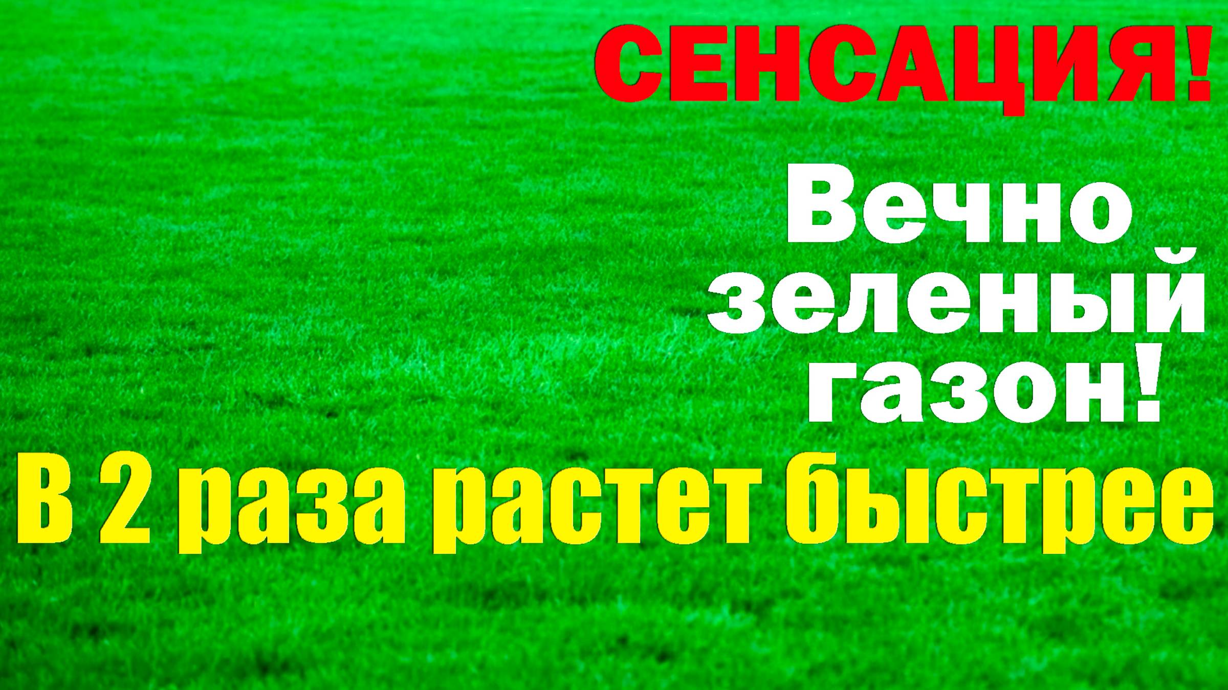 Идеальный газон. Новый способ выращивания.