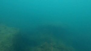 ЗУБАРИКИ ПОДВОДНАЯ ОХОТА НА САМУЮ ОСТОРОЖНУЮ РЫБУ ЧЕРНОГО МОРЯ
