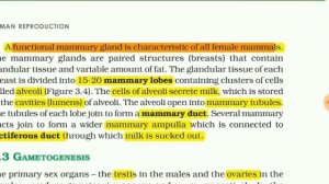 GRADE XII - BIOLOGY - CHAPTER : 3 (HUMAN REPRODUCTION) (PART - 2)