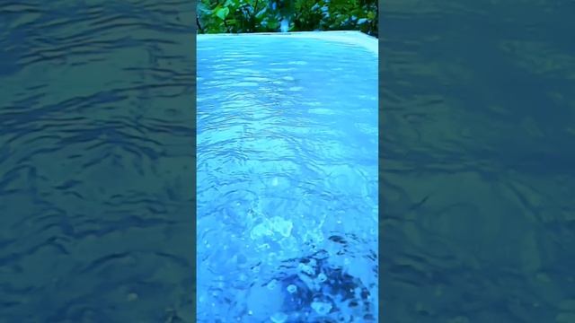 #music #video #shorts #rain