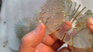 Каркас для катушки Марко Родина.