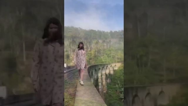 Экскурсия Шри-Ланки ￼