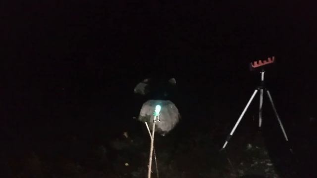 Ловля канального сома на резинку!!!