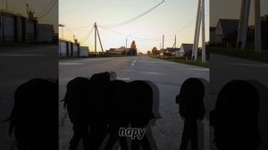 meme: "Фотографирую закат"💧🌱