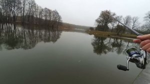 Спиннинг для джига с берега. Zetrix Ambition-Z. Что может топовая линейка.