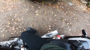 Что такое ЛИТР-ТРИСТА Обзор мотоцикла Honda X4 LD