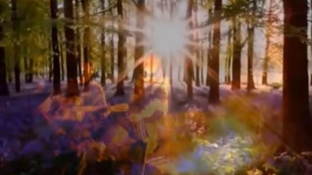 Вспоминая Юрия Визбора..., Стихи О. Петроградская, муз. Ю.Визбор, исп.С.Фрумович