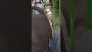 Только у этого автобуса такой звук двигателя❤🤤 ЛИАЗ 5256.26 Бортовой №640 Маршрут 19С