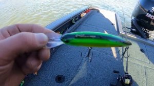 Раздача в ноябре! Судаки жадно атакуют воблер!!! Deps Balisong Long Bill 130SF, REALIS FANGBAIT 100