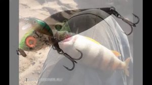 Уловистые воблеры на окуня