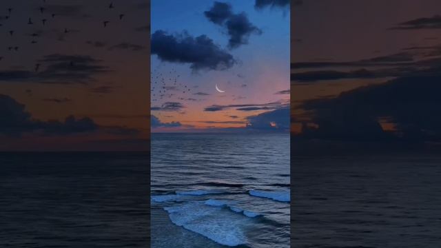 #music2022 #sea #beautiful #sunset