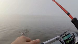 Окунь на тэйл-спиннер с лодки в тумане // perch on a tail spinner in the fog