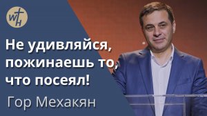 Не удивляйся, пожинаешь то, что посеял!  / Гор Мехакян /13.05.2023