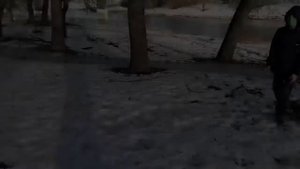 Alan Walker Diamond Heart feat sophia  somajo. Очередное видео по Алан Валкер