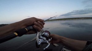 ЖЕРЕХ НА ВОЛКЕР. СУДАК НА ВОБЛЕР. Вечорка на Дону.