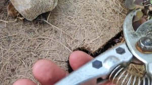 Новое видео про дачу!