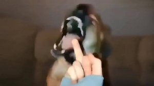 НЕОБЫЧНАЯ ПОДБОРКА МЕМОВ V241