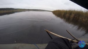 Ловля Щуки на Мелководье.