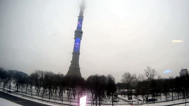 Известные места с высоты крон деревьев экскурсия на монорельсе.