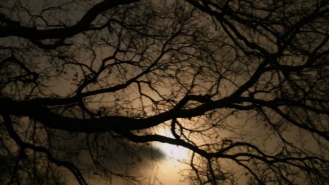 Oi Herra, luoksein jää - Paavo Rusava смотреть онлайн