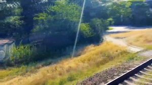 Путешествие Житомир - Одесса из окна поезда, 2019 год