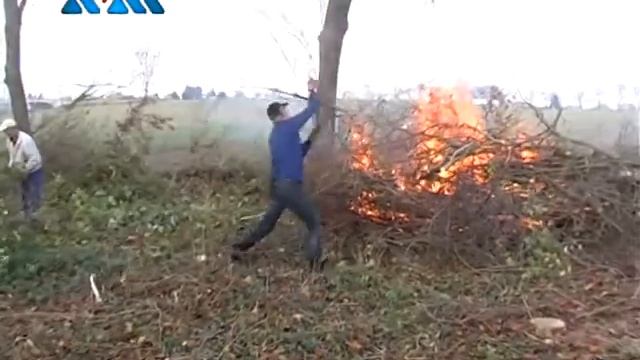 Польща прибирання кладовища