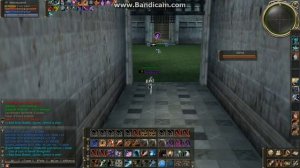 Elven Elder and Soulhound Olympiad By KuramA / L2Toxic