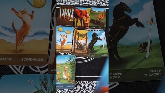 Что сейчас происходит в Вашей жизни?   #tarot #тарорасклад #предсказание #таро #вопросответ