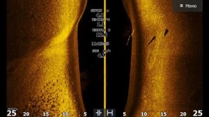 Screenshots from the Lowrance Elite FS 9 sonar