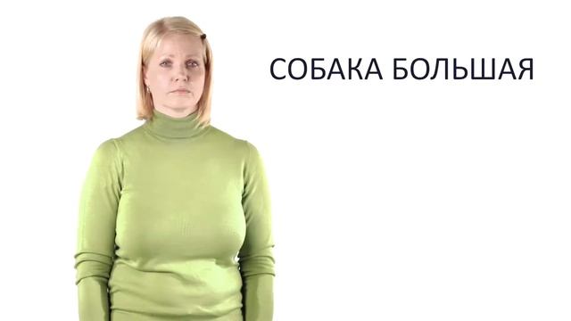 (1)Урок 9. На детской площадке. Видеокурс для самостоятельного изучения родителями глухих детей