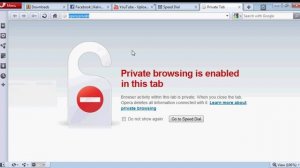 Browsing In Private Using Opera